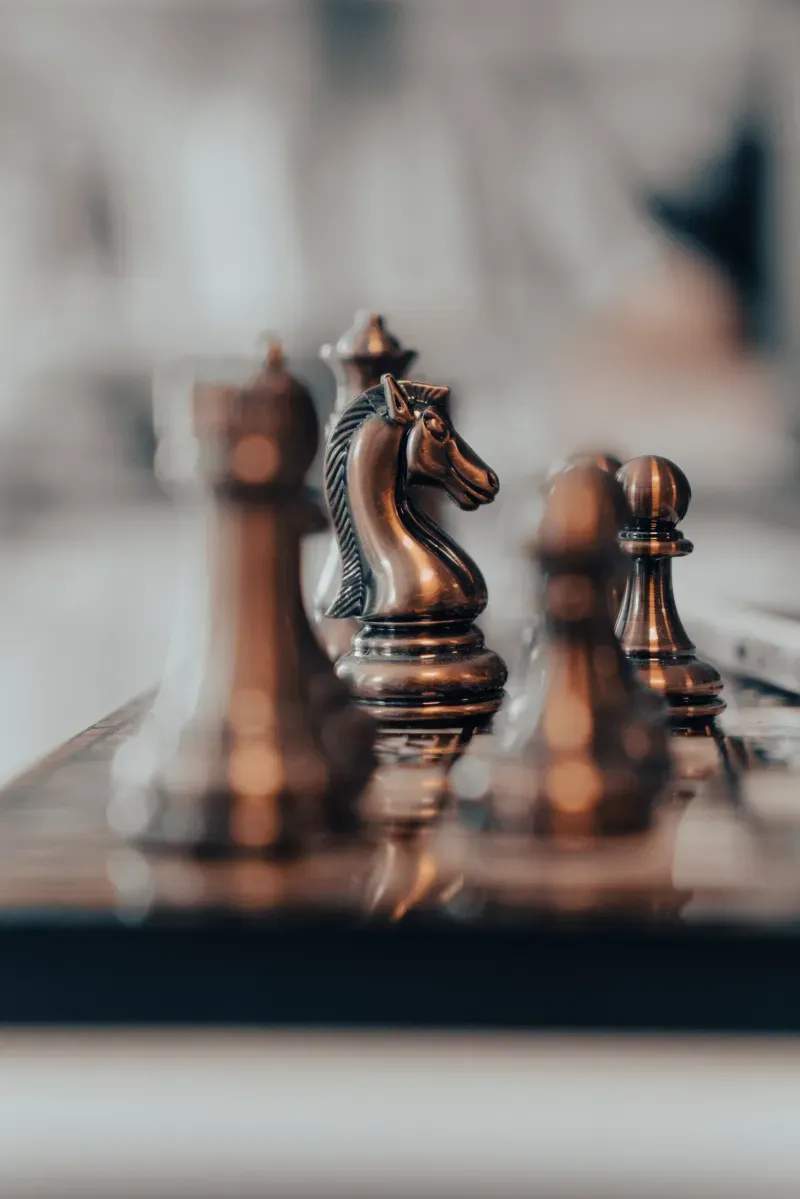 Audience research and insights